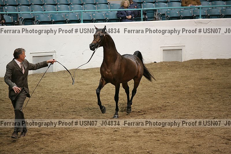 Proof Number usn07_j04834