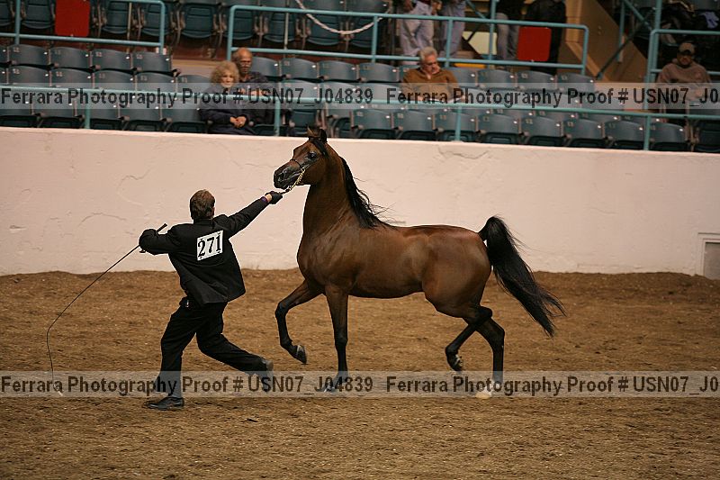 Proof Number usn07_j04839