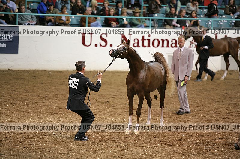 Proof Number usn07_j04855
