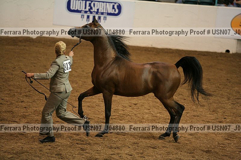 Proof Number usn07_j04880