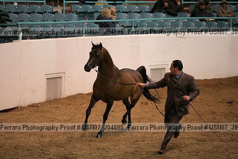 Proof Number usn07_j04895