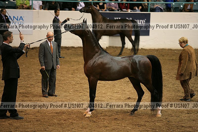 Proof Number usn07_j04912