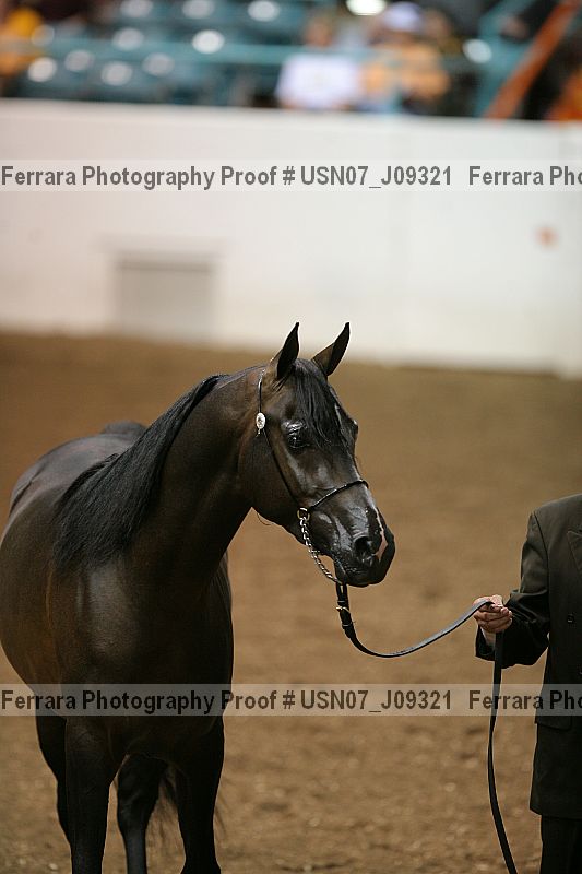 Proof Number usn07_j09321