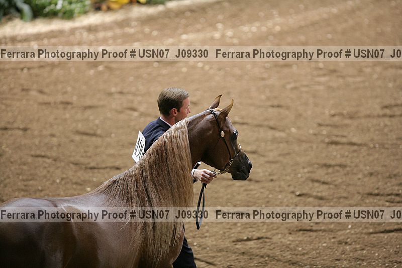 Proof Number usn07_j09330