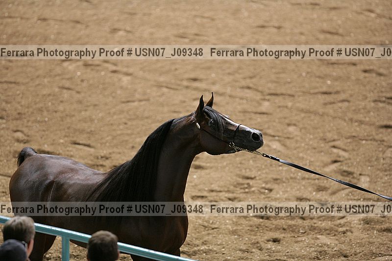 Proof Number usn07_j09348
