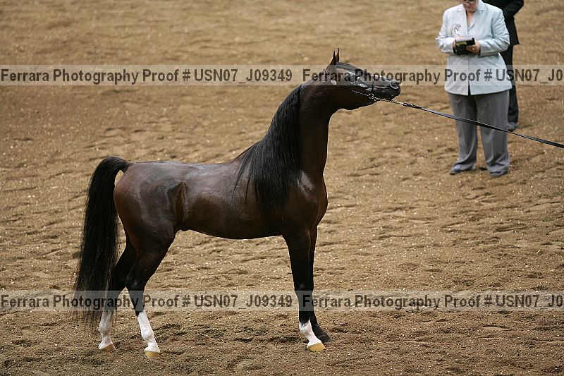 Proof Number usn07_j09349