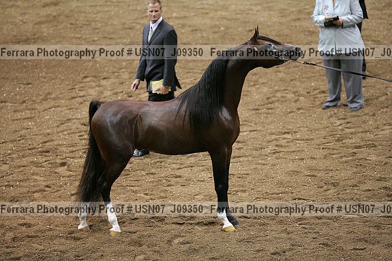 Proof Number usn07_j09350