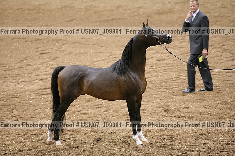 Proof Number usn07_j09361