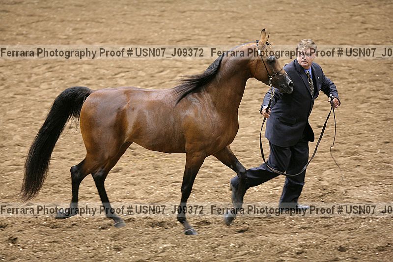 Proof Number usn07_j09372