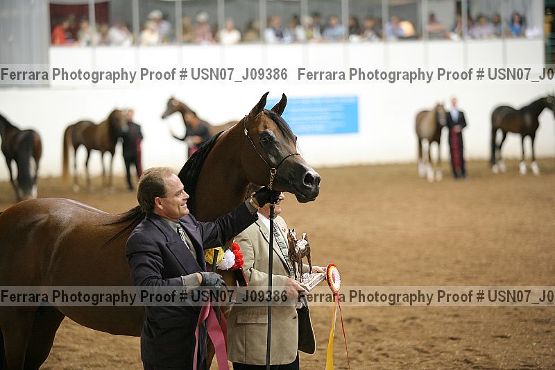Proof Number usn07_j09386