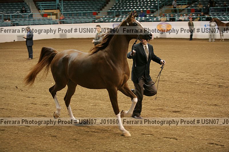 Proof Number usn07_j01060