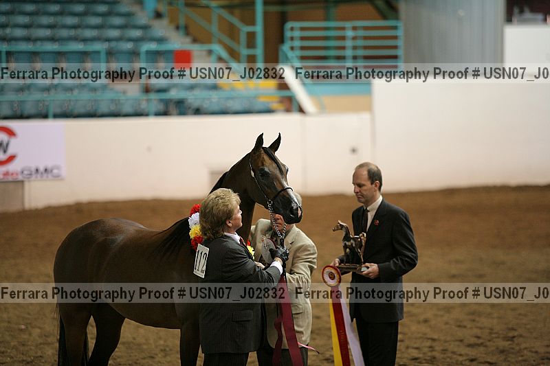 Proof Number usn07_j02832