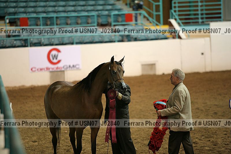 Proof Number usn07_j02840