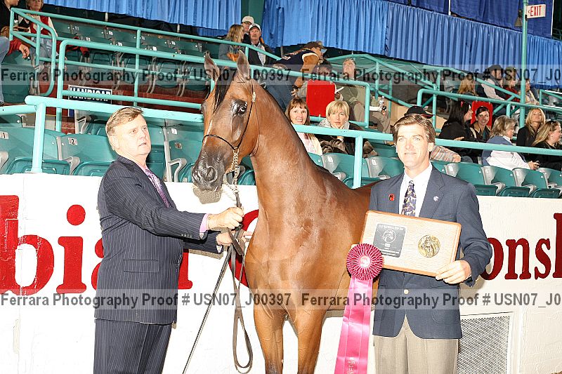 Proof Number usn07_j00397
