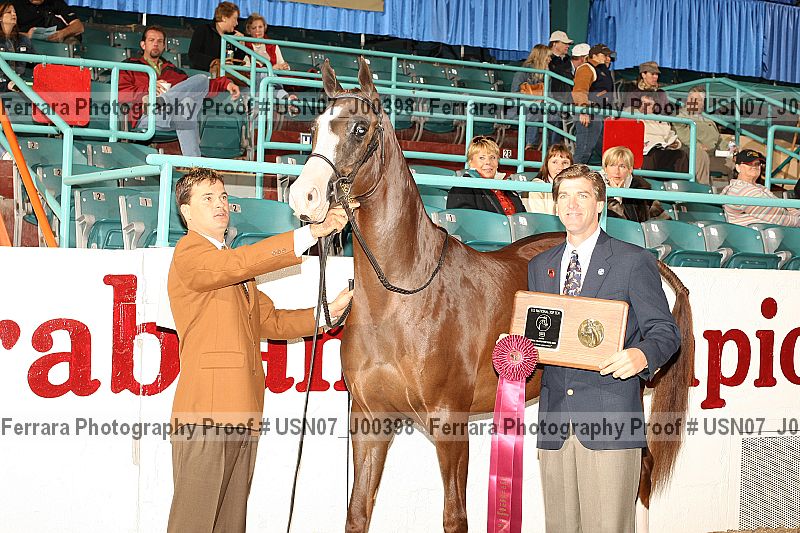Proof Number usn07_j00398