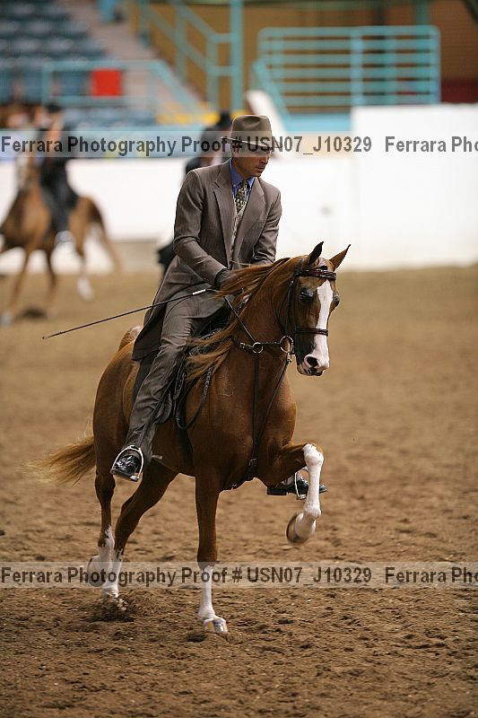 Proof Number usn07_j10329