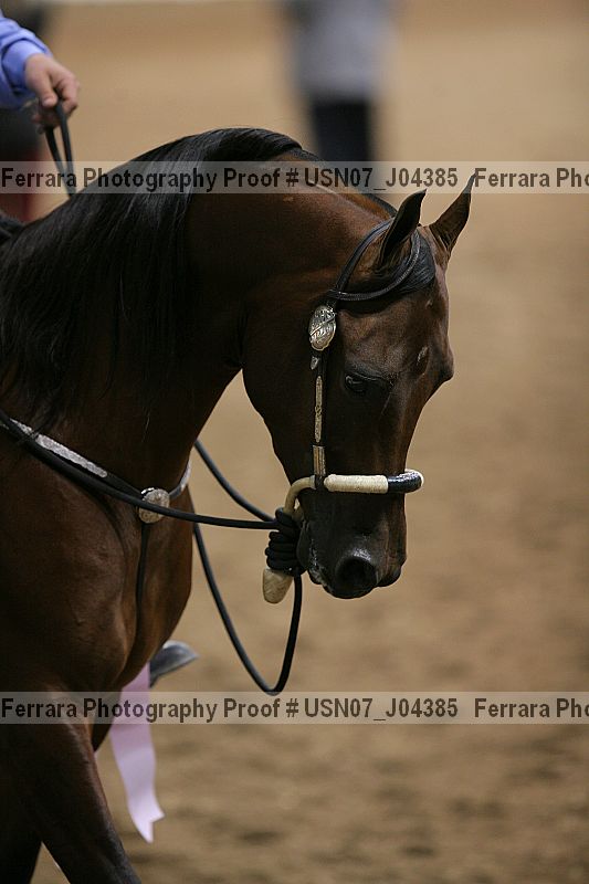 Proof Number usn07_j04385