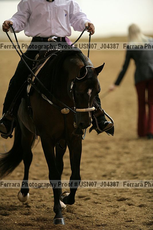 Proof Number usn07_j04387