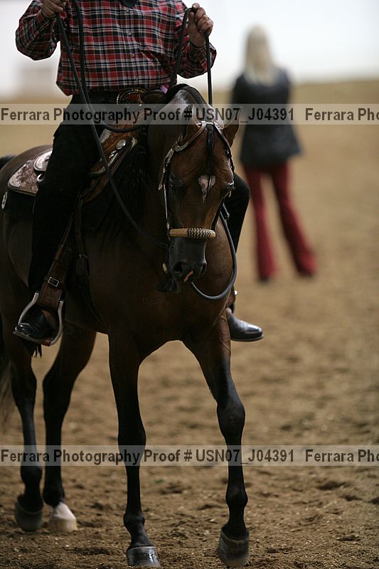Proof Number usn07_j04391