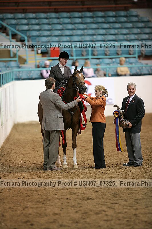 Proof Number usn07_07325