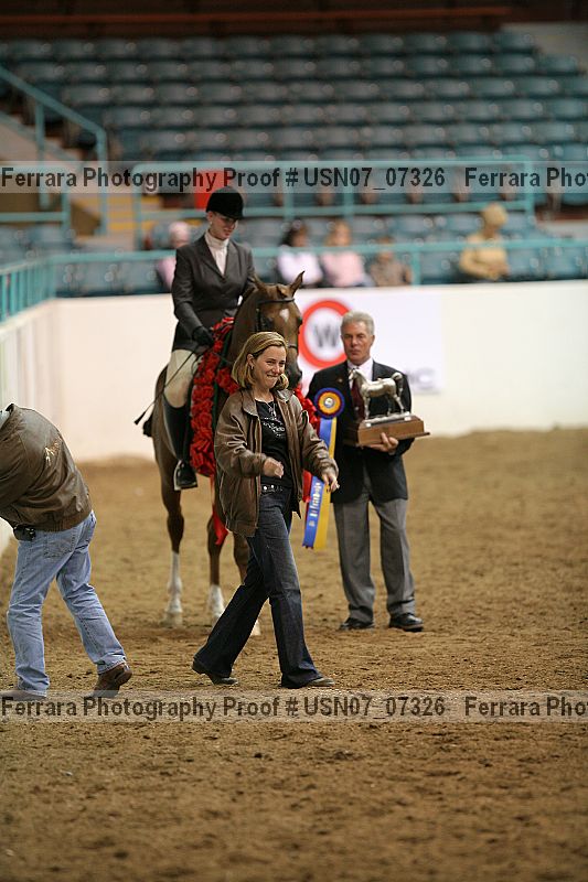 Proof Number usn07_07326