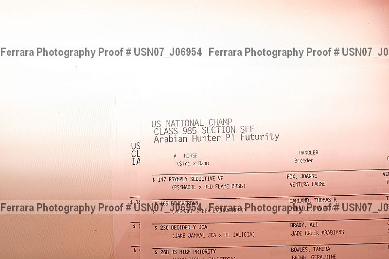 Proof Number usn07_j06954