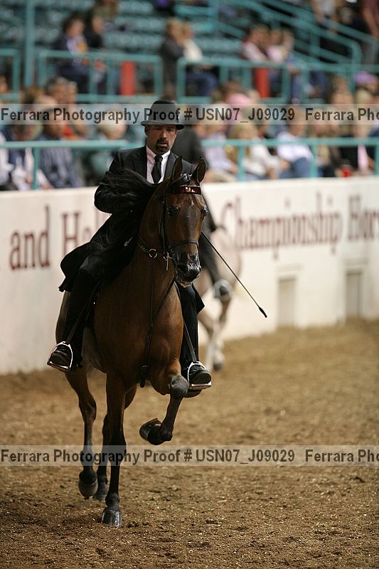 Proof Number usn07_j09029
