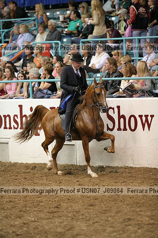 Proof Number usn07_j09064