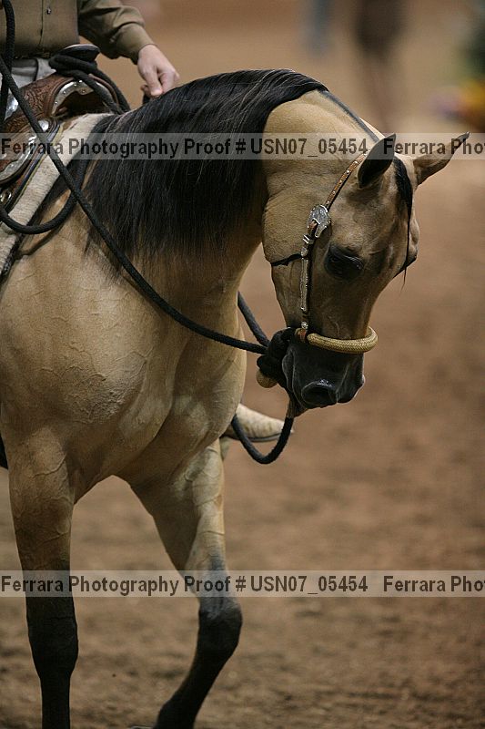 Proof Number usn07_05454