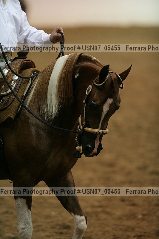 Proof Number usn07_05455