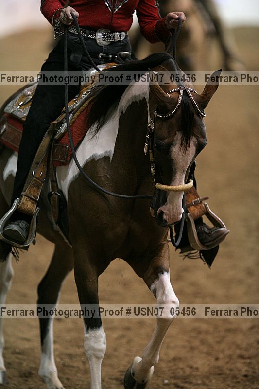 Proof Number usn07_05456