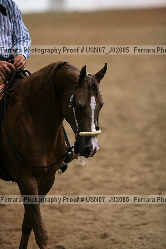 Proof Number usn07_j02085