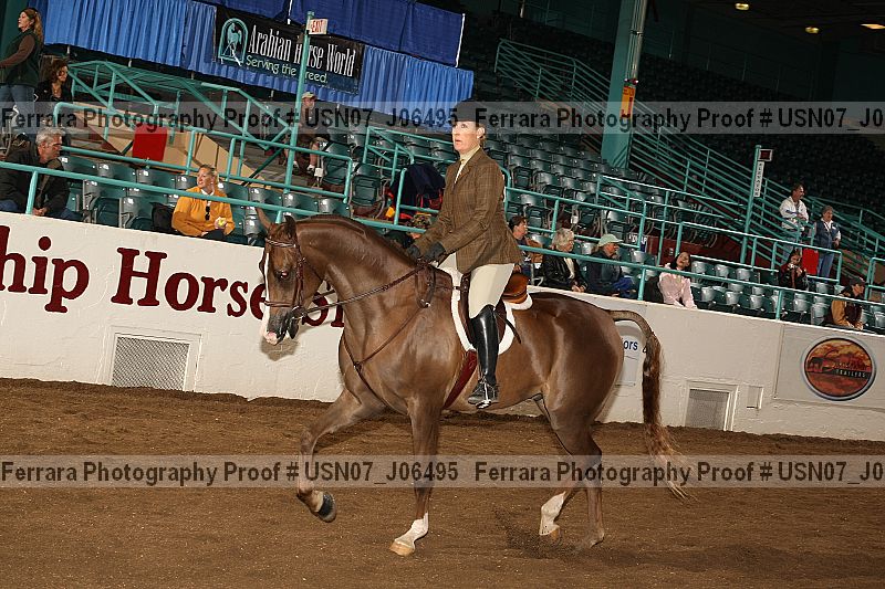 Proof Number usn07_j06495
