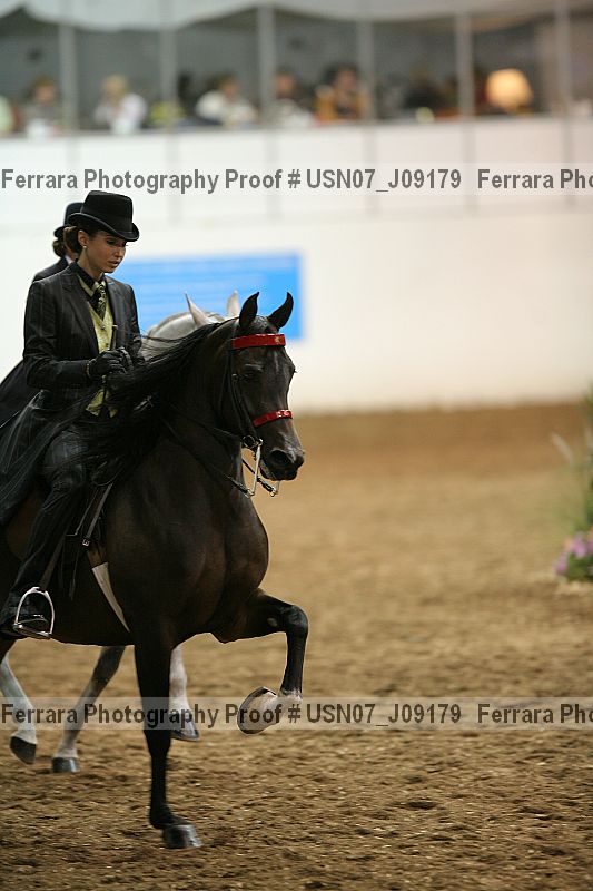 Proof Number usn07_j09179