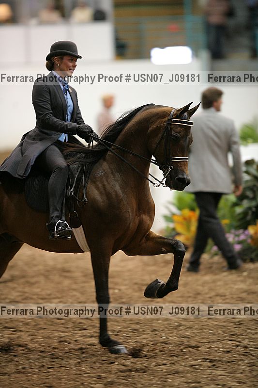 Proof Number usn07_j09181