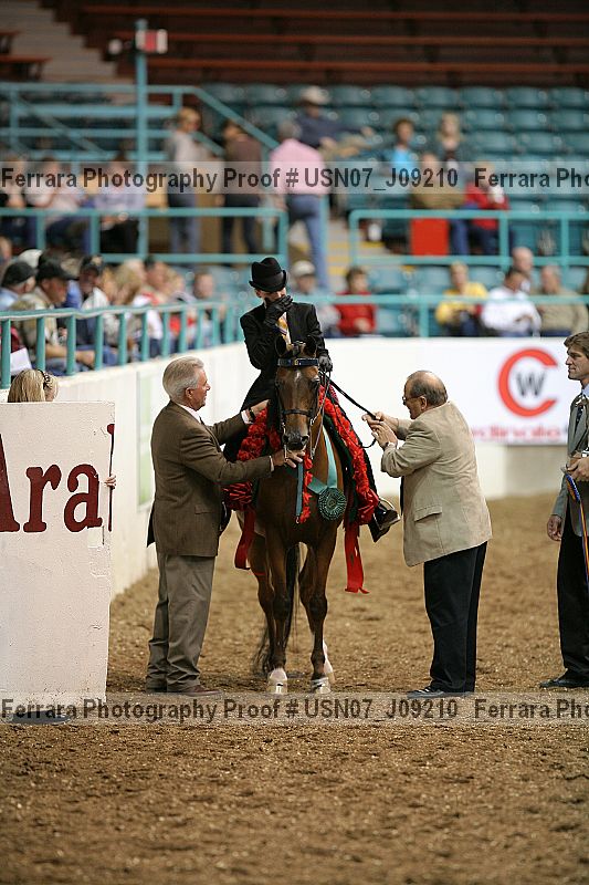 Proof Number usn07_j09210