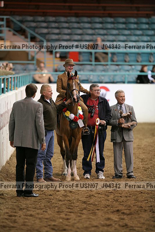 Proof Number usn07_j04342