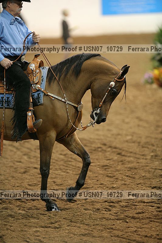 Proof Number usn07_10729