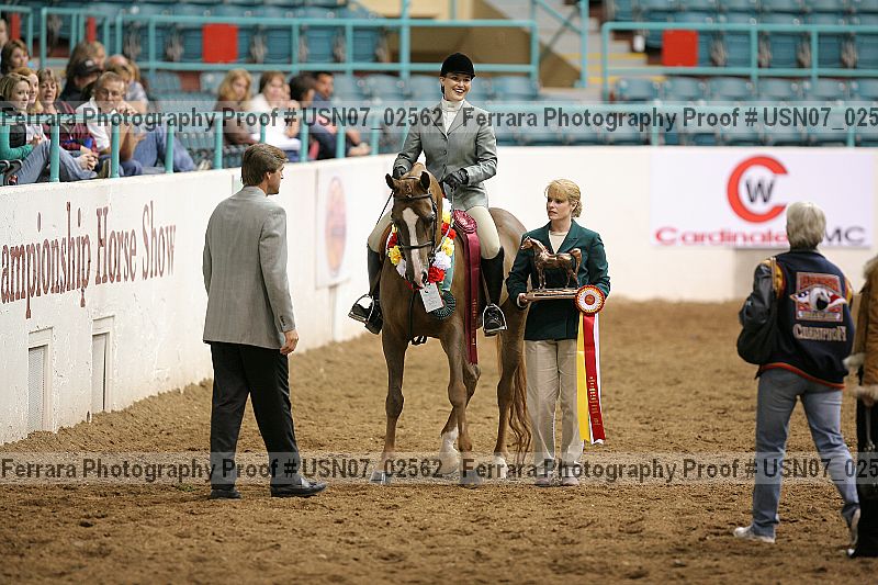 Proof Number usn07_02562