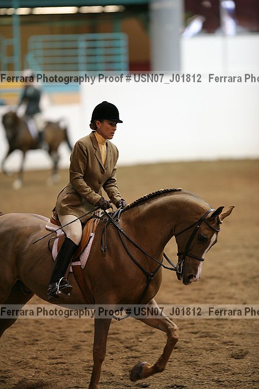 Proof Number usn07_j01812