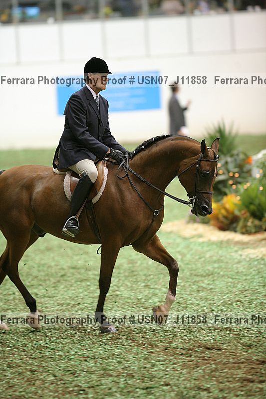 Proof Number usn07_j11858
