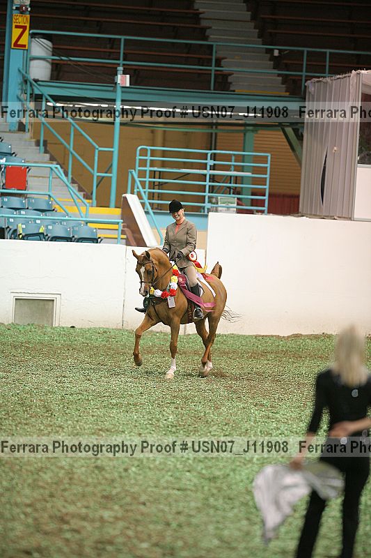 Proof Number usn07_j11908