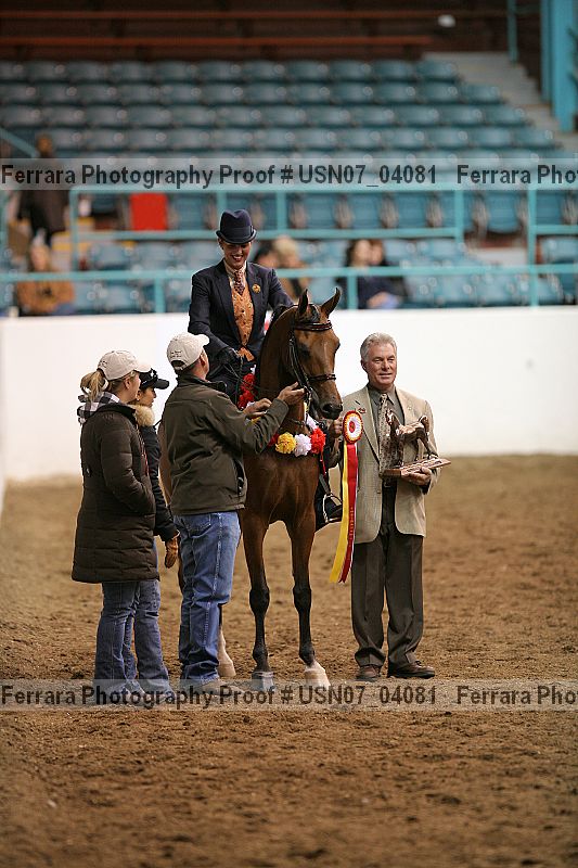 Proof Number usn07_04081