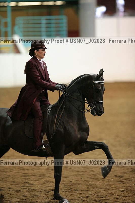 Proof Number usn07_j02028
