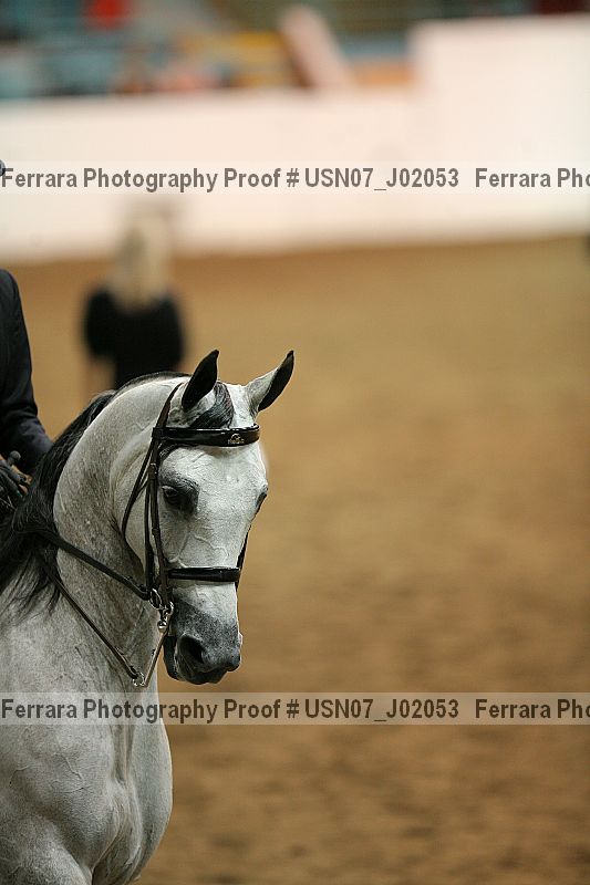 Proof Number usn07_j02053