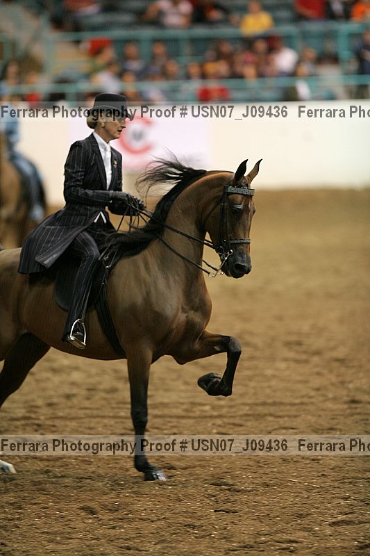 Proof Number usn07_j09436