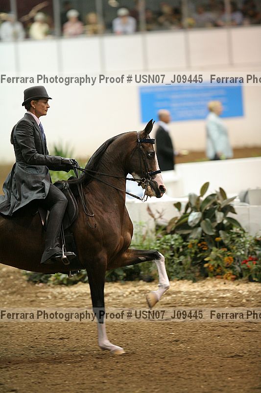 Proof Number usn07_j09445
