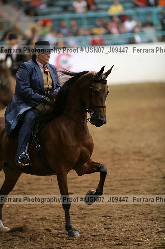 Proof Number usn07_j09447