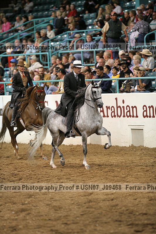 Proof Number usn07_j09468
