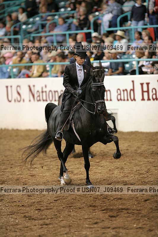 Proof Number usn07_j09469